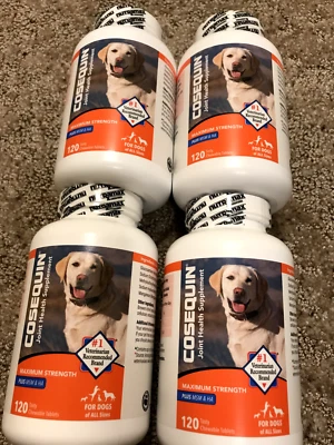4 120 CHEWABLE COSEQUIN DS MAXIMUM STRENGTH PLUS MSM & HA Ex dates 6-28