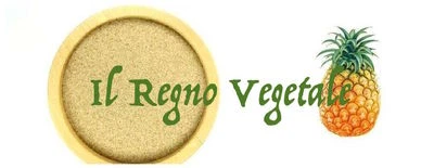 IL REGNO VEGETALE ANANAS Gambi Polvere Pura Micronizzata 1 Kg Cellulite Diuresi Infiammazione Edem