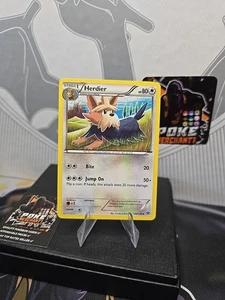 109/146 Herdier Uncommon Card: Pokemon Trading Card Game XY-01 Base Set - Picture 1 of 2