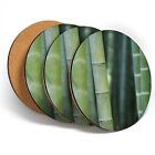 4 x Coasters  - Green Bamboo Shoots Nature  #45218