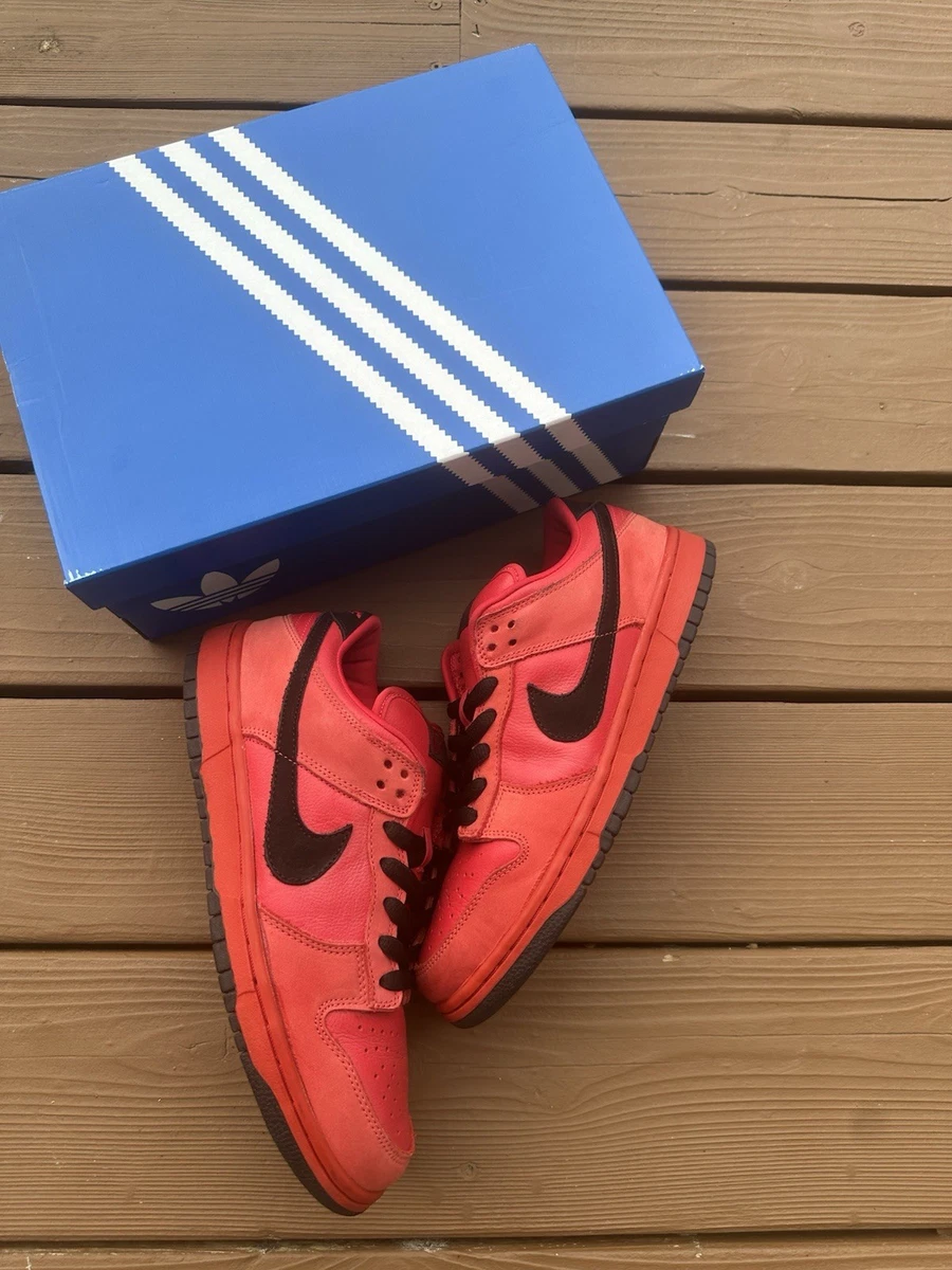 Nike Dunk Pro SB Low True Red for Sale | Authenticity Guaranteed