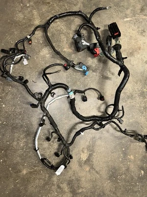 Chicote de fios do motor Ford Focus 2.0 N/A 2013-2018 fabricante de equipamento original - Imagem 1 de 4