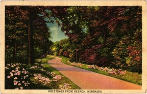 Vintage Leinen Postkarte Grüße aus Hebron Nebraska Landschaftsstraße - Bild 1 von 2
