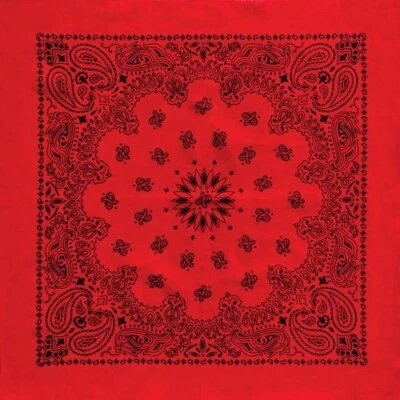 Austin 红色/黑色佩斯利 27x27 Bandanna — 第 1/4 张图片