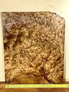 camphor burl Guitar Top - One Piece - Luthier Wood Tonewood Lumber Rare Exotic - Picture 1 of 8
