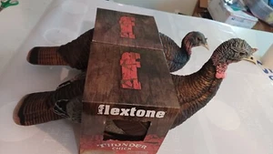 Flextone Thunder Turkey Chick Upright & Chick Breeder Hunting Decoy Lot 2 total - Picture 1 of 10