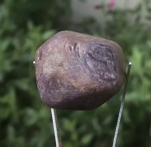 Rubis brut de Tanzanie 196,13 Carats corindon rubis - Imagen 1 de 3