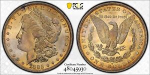 Golden Toned 1882 O MS 64 Morgan Silver Dollar VAM 7 O/O PCGS Trueview Slab 1367