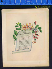 Woodbine Honeysuckle, Flowers & Calligraphy Poem, Watercolor, Scroll Design 1843