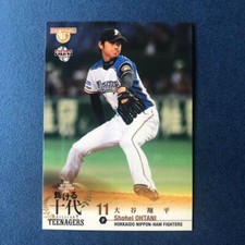 Shohei Ohtani 2013 Rookie Year BBM Historic Collection '14 Baseball Card No108