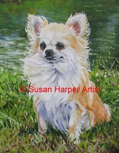 Chihuahua Signed Dog Print by Susan Harper Unmounted - Picture 1 of 2