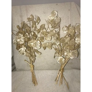 Lunaria Biennis Branches, Money Plant, Natural Seeds, Natural Decoration 15" - Picture 1 of 5