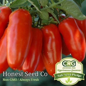 San Marzano Tomato Seeds - 100 Count, Heirloom, Non-GMO - Picture 1 of 1