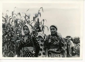 JAPON c. 1940 - Jeunes Femmes Travail aux Champs - P 2220 - Picture 1 of 2