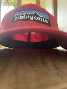 Patagonia P-6 Logo Stretch Fit Large Limited Edition SPRING2016