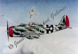 LtCol Gabreski's P-47D Thunderbolt Print "Thunderbolt" - Picture 1 of 2