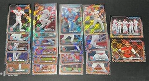 2024 Topps Montgomery Club CARDINALS HOLO FOIL STAMPED TEAM SET 22 CARDS - Picture 1 of 1
