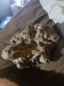 meteorites for sale - Picture 1 of 13
