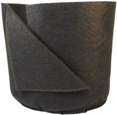 Contenedor de planta trasplantadora de lados blandos s, 1 galón, negro  Foto 1 de 2