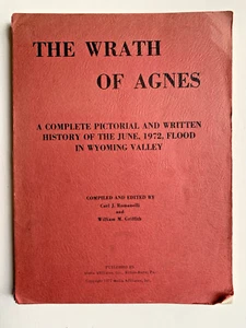 The Wrath of Agnes Complete Pictorial & History June 1972 Flood Wyoming Valley - Picture 1 of 10
