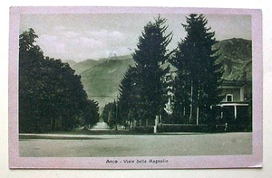 ARCO - Viale delle Magnolie [picc. b/n viagg.] - Picture 1 of 1