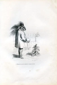 Grandville, The Porcupine thinks.............. engraving...1842 - Picture 1 of 1