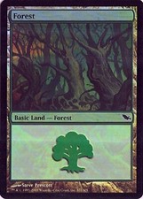 MTG - Shadowmoor - Forest #301 - Foil - Various conditions