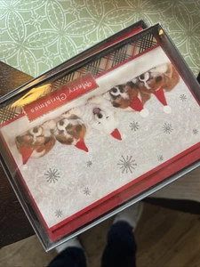 Hallmark Biglietti di Auguri Buon Natale con Messaggio Interno 16 Card 17 Busta  - Foto 1 di 3