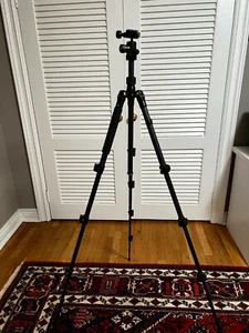 Benro C-0691 Travel Angel CF Tripod (Trans-Functional) W/B00 Ballhead - Picture 1 of 5