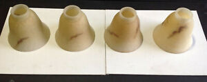 4 Glass Shades Light Fixture Ceiling Fan ,Beautiful frosted Tan, Brown design.