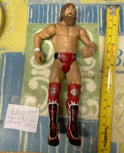 WWE Daniel Bryan Action Figure 2012. Mattel. - Picture 1 of 3