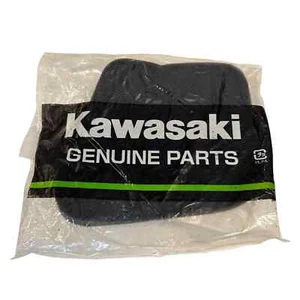 Kawasaki Genuine OEM Element Air Filter 11013-1145 - Imagen 1 de 1