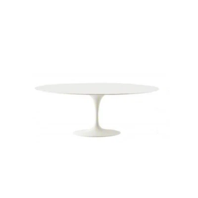 TABLE, TISCH Tavolo Tulip Eero Saarinen ovale 169x111 laminato MADE IN ITALY - Bild 1 von 4