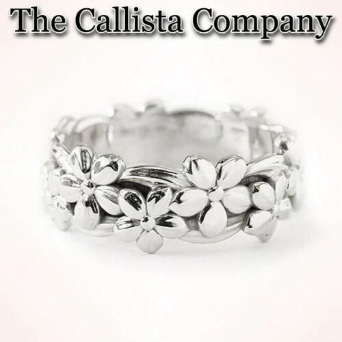CALLISTA CO. BANDA ETERNIDAD CHAPADA EN ORO BLANCO 14K TALLA 5-9 ✓ Foto 1 de 1