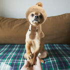  Dog Winter Hat Puppy Knitted Cat Pet Headgear Korean Version