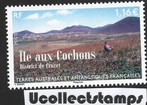 TAAF Frans Antarctica 2023 Ile de Cochons postfris/mnh - Imagen 1 de 1