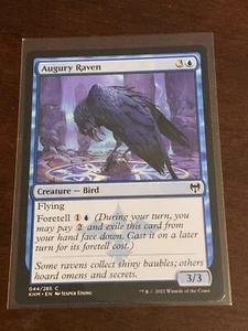 Magic the Gathering Kaldheim Augury Raven - Picture 1 of 2
