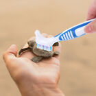 Tortoise Shell Cleaner - Remove Mud And Contaminants