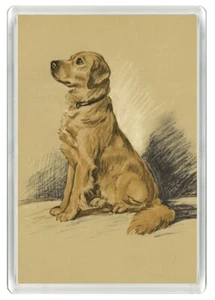 GOLDEN RETRIEVER HUNDE KUNSTDRUCK NEUHEIT ACRYL KÜHLSCHRANKMAGNET TOLLES GESCHENK - Bild 1 von 1