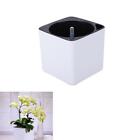 Square Self-watering Flower Plant Potwith Water Level Indicator, White