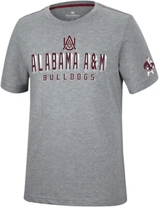 Alabama A&M Bulldogs Gray Colosseum Short Sleeve T-shirt - XL - HBCU - Bild 1 von 1