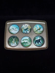 Vintage Wildlife Drink Tray Recessed Holders RECTANGULAR Man Cave Hunting Dogs - Picture 1 of 10