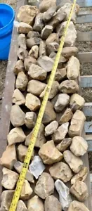 6 LIBBRE Bella Varietà di Central Texas Chert Flint Rough Rocks Knapping Lapidary - Foto 1 di 12