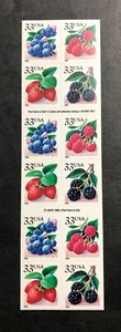 2000 US Scott #3297d 33c Fruit / Berries Booklet Pane of 20 MNH - Bild 1 von 2