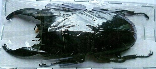 Bild 1 von 3