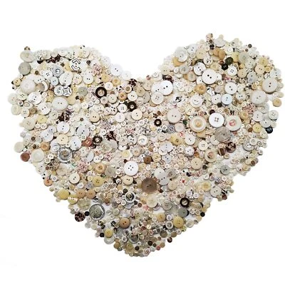 1600Pcs Shell Craft Buttons in Bulk White Buttons for Crafts Assorted Sizes W... - Image 1 of 4