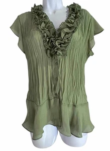 Allison Taylor Womens Blouse L Green Sheer Ruffle V Neck Accordion Pleat Crinkle - Picture 1 of 9