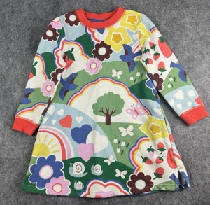 Mini Boden Dress Girls LS Pocket Sweat Bright Colorful Bird Heart Flower 5-6 5 6 - Picture 1 of 8