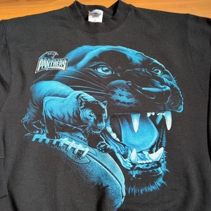 Sudadera De Colección Carolina Panthers Para Hombres Gráfico Mediano Equipo NFL Jugador Profesional Años 90 - Imagen 1 de 11