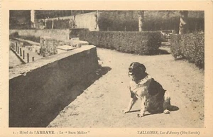 1920s Postcard; Border Collie Dog, Hotel de l'Abbaye, Lac d'Annecy France - Picture 1 of 2